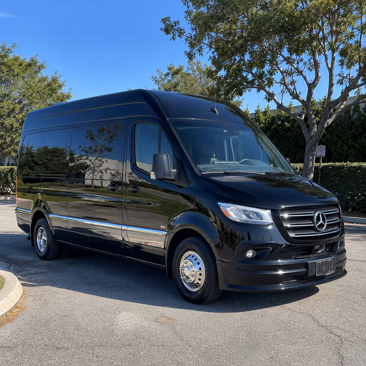 Anaheim Corporate Transportation onboard seating