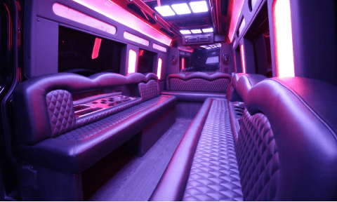 Costa Mesa 14 Passenger Sprinter Bus Interior