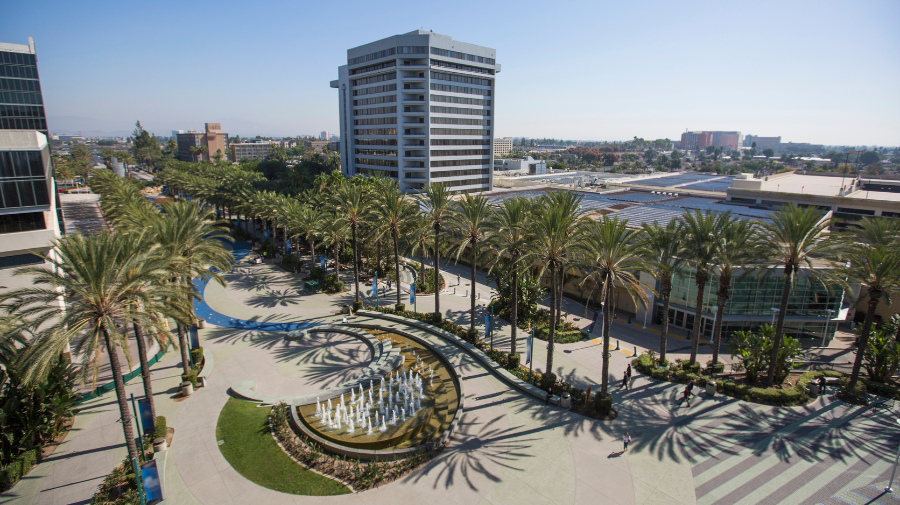 A First Timer’s Guide to Anaheim